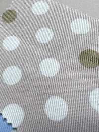 88202 SEVENBERRY® 20 Twill CAT-LIGHT Họa Tiết Chấm Bi Và Kẻ Sọc[Vải] VANCET Ảnh phụ