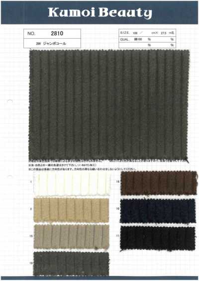 2810 3W Corduroy Jumbo