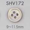 SHV172 Cúc Vỏ Trai 4 Lỗ, Có Viền
