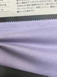 1078302 Vải Cotton Tenjiku Mạ REAMIDE Takisada Nagoya Ảnh phụ