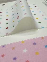 DH12989S Chia Sẻ Homey (Star) Half Fold[Vải] VANCET Ảnh phụ