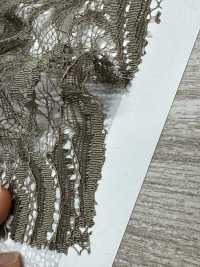 KKF8575-D4 Dây Vô Hướng Ren / Đăng Ten đơn Ny/Ry[Vải] Uni Textile Ảnh phụ