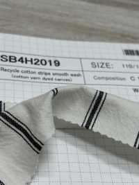 SB4H2019 Giặt Vải Dệt Kim Tròn Interlock Kẻ Sọc Cotton Sọc Tái Chế SHIBAYA Ảnh phụ