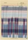 INDIA-422 Ikat