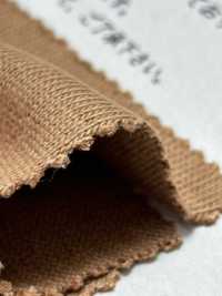 FJ230200 Vải Cotton Tenjiku Cotton Cực Kỳ Trưởng Thành Fujisaki Textile Ảnh phụ