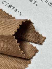FJ230200 Vải Cotton Tenjiku Cotton Cực Kỳ Trưởng Thành Fujisaki Textile Ảnh phụ