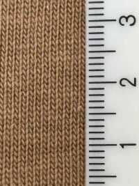 FJ230200 Vải Cotton Tenjiku Cotton Cực Kỳ Trưởng Thành Fujisaki Textile Ảnh phụ
