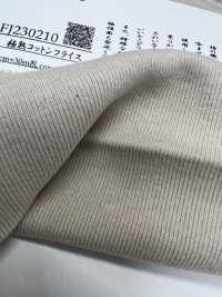 FJ230210 Dệt Kim Rib Tròn Bông Cực Kỳ Trưởng Thành[Vải] Fujisaki Textile Ảnh phụ