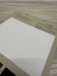 PJT6000 TENNSEU 30/1 Gabardine[Vải] Fujisaki Textile Ảnh phụ