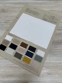 PJT6000 TENNSEU 30/1 Gabardine[Vải] Fujisaki Textile Ảnh phụ
