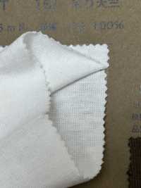 BL2416NT 16/- Treo Vải Cotton Tenjiku đấu đỉnh Ảnh phụ