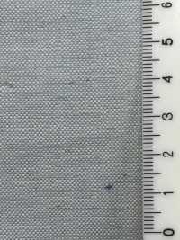 RR3352 Bò Vải Oxford ROKAL Ảnh phụ