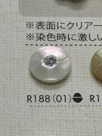 R188 Cúc Nhựa Resin Polyester DAIYA BUTTON Ảnh phụ