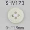 SHV173 Cúc Vỏ Trai 4 Lỗ Có Viền