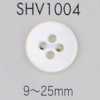 SHV1004 Cúc Vỏ Trai 4 Lỗ