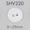 SHV220 Cúc Vỏ Trai 2 Lỗ