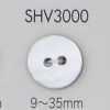 SHV3000 Cúc Vỏ Trai 2 Lỗ