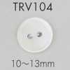 TRV104 Cúc Vỏ Trai 2 Lỗ
