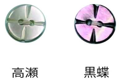 250 Cúc Vỏ Trai 2 Lỗ Không Viền