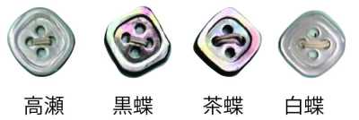 4004H Cúc Vỏ Trai Có Viền, 4 Lỗ