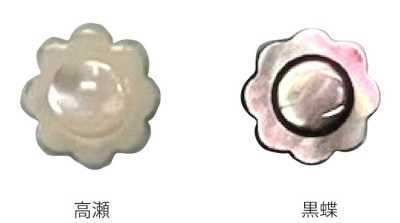 608 Cúc Vỏ Trai Hình Hoa