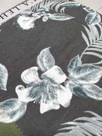 4234 Thư Giãn Phong Cách Vải Broadcloth OHI A LEHUA VANCET Ảnh phụ