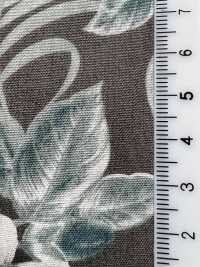 4234 Thư Giãn Phong Cách Vải Broadcloth OHI A LEHUA VANCET Ảnh phụ