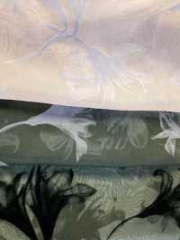 KF4005-DF-3407 Vải Nhung Vải Organdy Chuyển Màu Gradient Kem Uni Textile Ảnh phụ