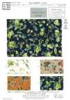 KCP808MW-DK-640 Vải Cotton 80 Lawn In Họa Tiết Miracle Wave