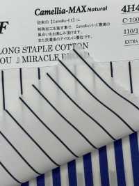 4H4436/3 COTTON STAPLE DÀI “DÀNH CHO BẠN” RỘNG PHÉP LẠI[Vải] Sợi Kuwamura Ảnh phụ