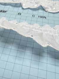 23389F Ren / Đăng Ten Bèo Nhún Cotton Kyowa Lace Ảnh phụ