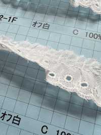 3302-1F Ren / Đăng Ten Bèo Cotton Kyowa Lace Ảnh phụ