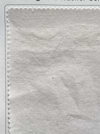 SPM-1136-KBW Supima 60/2 Vải Cotton Moleskin Ruồi Nhẹ TIPICO (Dệt May Kuwamura) Ảnh phụ