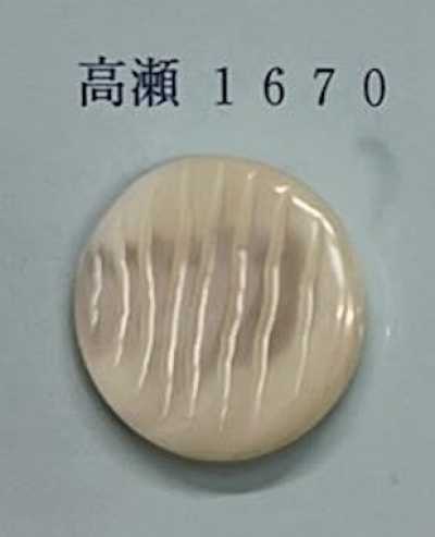 1670 Cúc Vỏ Trai Takase Không Viền