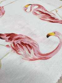 4235 SEVENBERRY® Vải Broadcloth Phong Cách Thư Giãn Flamingo VANCET Ảnh phụ