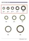 RING-2 Vòng Nhảy Mở Rộng