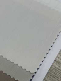 85426 Cô Vải Cotton Typewritter PARICA Ảnh phụ