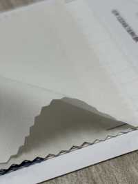 85426 Cô Vải Cotton Typewritter PARICA Ảnh phụ