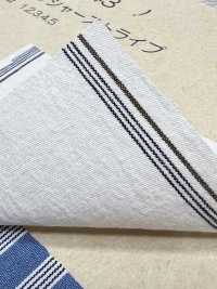 BC3543 Kẻ Sọc Vải Voan COSMO TEXTILE Ảnh phụ
