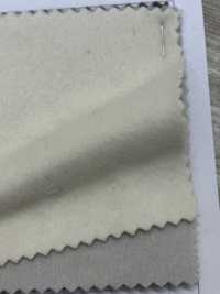 80660 SP100 Hải Ly Tuyệt Vời[Vải] PARICA Ảnh phụ