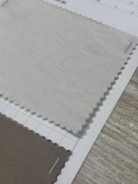 53803 Evelyn[Vải] PARICA Ảnh phụ