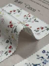 850523 SEVENBERRY® Vải Broadcloth Broad Cotton Antique Di Canon VANCET Ảnh phụ