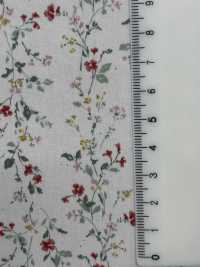 850523 SEVENBERRY® Vải Broadcloth Broad Cotton Antique Di Canon VANCET Ảnh phụ
