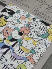 850536 SEVENBERRY® Vải Oxford Cotton Không Tẩy Trắng Nyan Comics VANCET Ảnh phụ