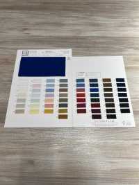 KKC600 60 % Cotton Nhuộm Cỏ[Vải] Uni Textile Ảnh phụ