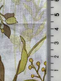 4026-660-5 60 Hoa Vải Cotton Lawn Itome Hokkoh Ảnh phụ