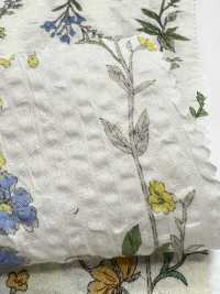 8026-680-4 80 Hoa Sọc Kẻ Sọc Vải Cotton Lawn Miracle Hokkoh Ảnh phụ