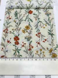 8026-680-4 80 Hoa Sọc Kẻ Sọc Vải Cotton Lawn Miracle Hokkoh Ảnh phụ