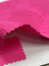 DS8450S Đá Jacquard C/F[Vải] KOYAMA Ảnh phụ