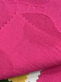 DS8450S Đá Jacquard C/F[Vải] KOYAMA Ảnh phụ